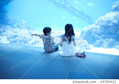 水族館的姐妹姐妹出去了 24785422