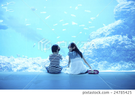 Aquarium Children 24785425