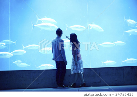 水族館約會 水族館約會 24785435