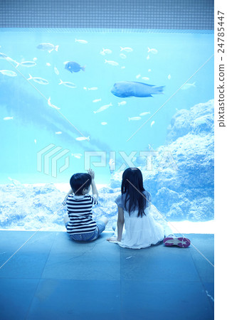 水族館兒童 24785447