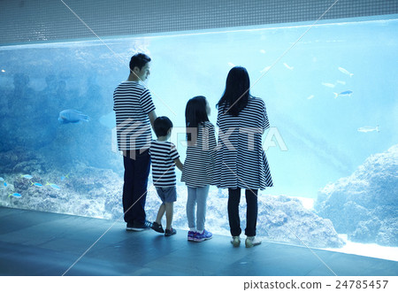 Aquarium Family 24785457