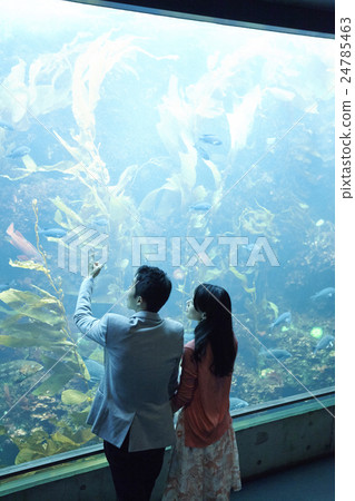Aquarium date Aquarium date 24785463