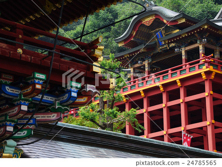 Yutoku Inari shrine 24785565