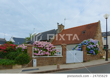 布列塔尼地區的石屋和五顏六色的花壇 24785629