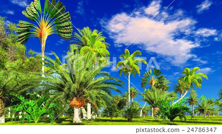 Tropical jungle during a day 3d rendering Tropical jungle during a day 3d rendering 24786347