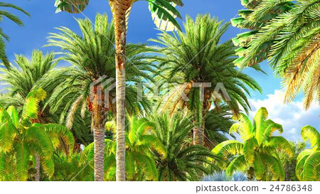 Tropical jungle during a day 3d rendering Tropical jungle during a day 3d rendering 24786348