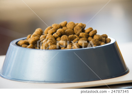 Dry dog or cat treats in bowl 24787345