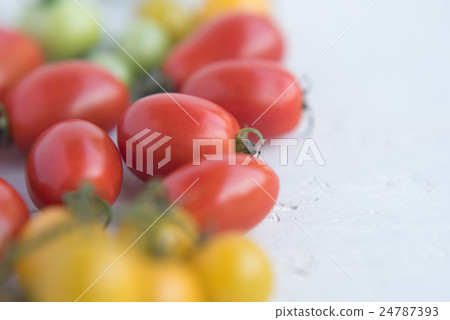  Mini Tomato 24787393