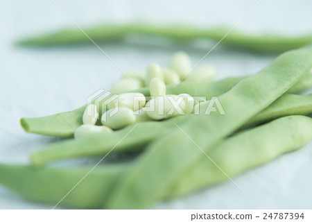 胡椒開花 24787394