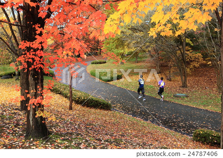 Sports fall 24787406