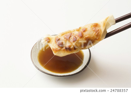 餃子 24788357