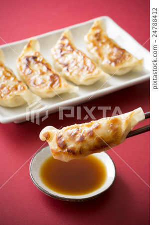 Gyoza Gyoza 24788412