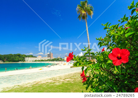 白濱 白濱 白濱 白濱 24789265