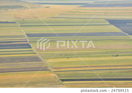 Stubble Fields in Dobrogea 24789515