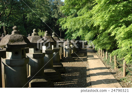 埼玉縣石燈籠和竹子街 埼玉縣石燈籠和竹子街 24790321