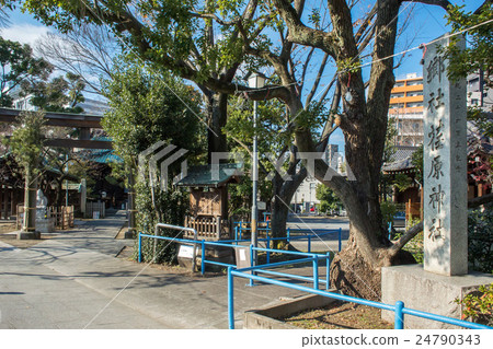 Ebara Shrine 24790343