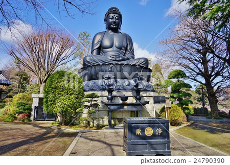 Tokyo Great Buddha 24790390