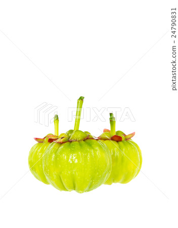 Garcinia cambogia fresh fruit, isolated on white.  24790831