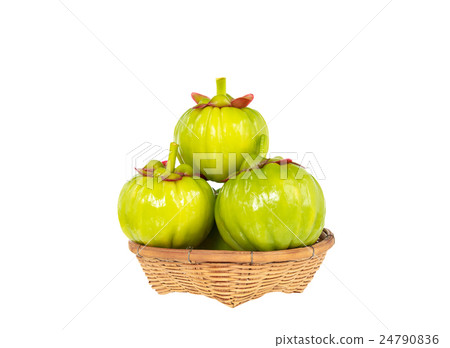 Garcinia cambogia fresh fruit, isolated on white.  24790836