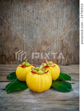 Garcinia cambogia fresh fruit, isolated on white. Garcinia cambogia fresh fruit, isolated on white. 24790918