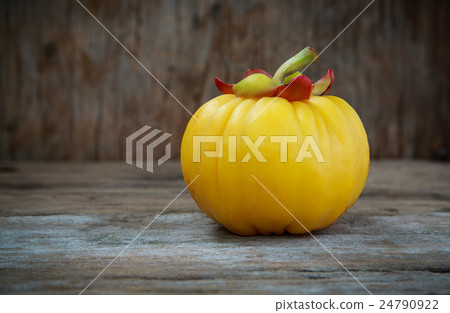 Garcinia cambogia fresh fruit, isolated on white.  24790922