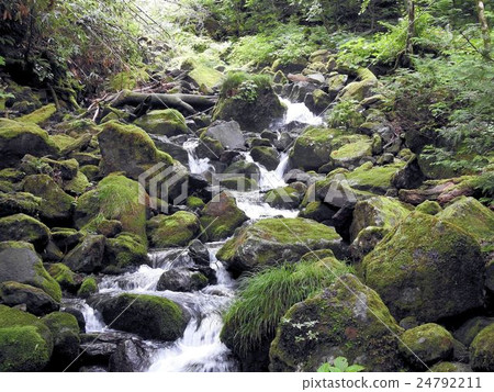 Mountain stream / oil tree plantations 24792211