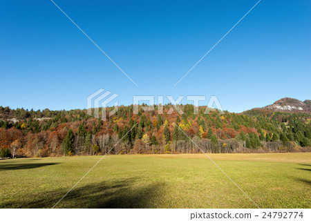 Val di Sella in Autumn - Trentino Italy Val di Sella in Autumn - Trentino Italy 24792774