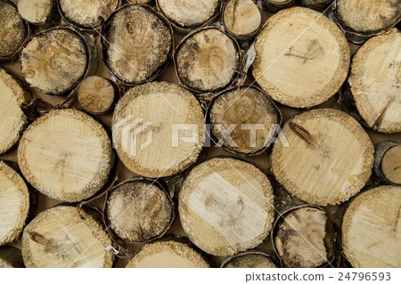 end of old logs, decor wall end of old logs, decor wall 24796593