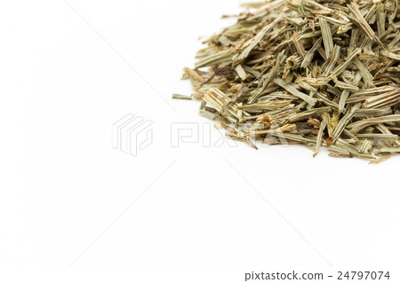 Horse tail (horsetail): Horsetail (Shavegrass) 24797074