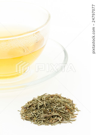 馬尾(Sugina)茶:馬尾茶(Shavegrass) 馬尾(Sugina)茶:馬尾茶(Shavegrass) 24797077