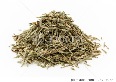 馬尾(馬尾):馬尾草(Shavegrass) 馬尾(馬尾):馬尾草(Shavegrass) 24797078