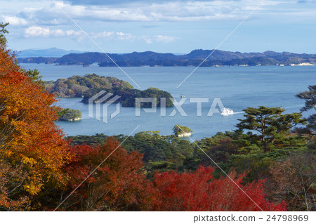 Matsushima in autumn Matsushima in autumn 24798969