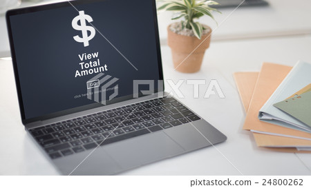 View Total Amount Accountant Balance Record Concept 24800262
