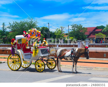 Lampang horse carriage 24800331