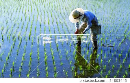 Clarity Closeup Focal Point Spotlight Target Vision Concept 24803443