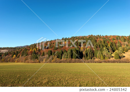 Val di Sella in Autumn - Trentino Italy 24805342