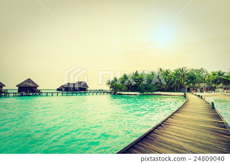 Maldives island 24809040