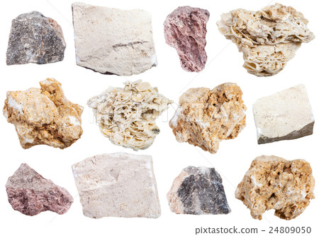 collection from specimens of limestone rock collection from specimens of limestone rock 24809050