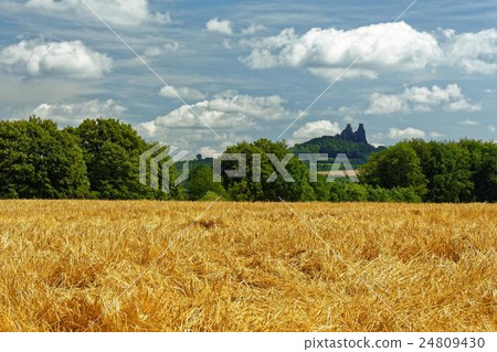 Ruins of medieval gothic castle Trosky Ruins of medieval gothic castle Trosky 24809430