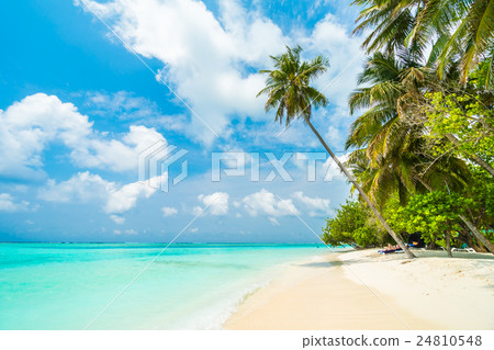 Maldives island Maldives island 24810548