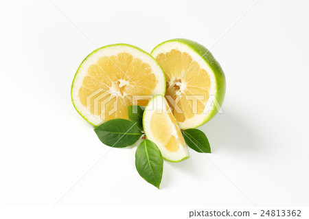 green grapefruit halves 24813362