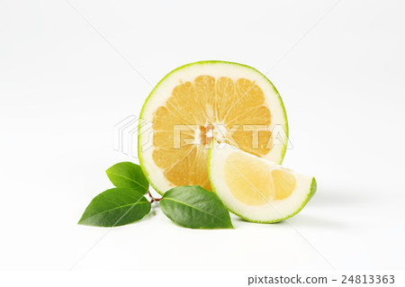 green grapefruit half 24813363
