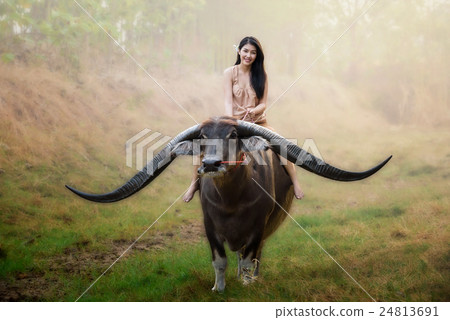 beautiful Asian girl riding long horn buffalo 24813691