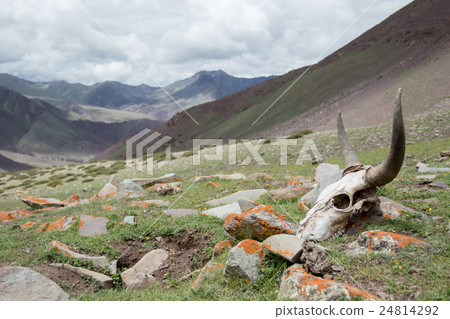 skull from way stok kangri summit soft focus 24814292