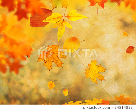 autumn background autumn background 24814852