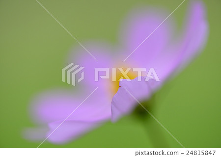 宇宙 宇宙 24815847