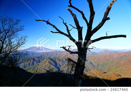 Mt. Fuji seen from Nishitanzawa · Hinoko Maru and mountain ranges of autumn leaves 24817460