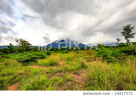 Mountains. Cloudy mountains in northern Thailand Mountains. Cloudy mountains in northern Thailand 24817571