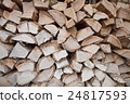 wood texture. background old panels 24817593