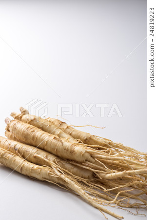 Ginseng ginseng Ginseng ginseng 24819223